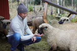 New NLS ELM, 100% OFÄRGAD ULL — Ziptröjor