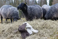 Fashion NLS RAG SOCK, 100% OFÄRGAD ULL — Ullstrumpor|Ullstrumpor