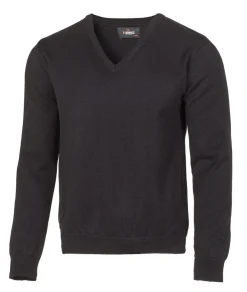 Best PD V-NECK MALE — Tröjor